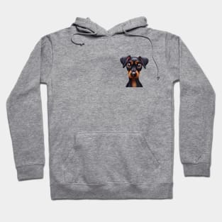 Small Version - Charming Doberman Pinscher Illustration Hoodie